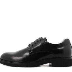Scarpa Elegante Uomo con Lacci